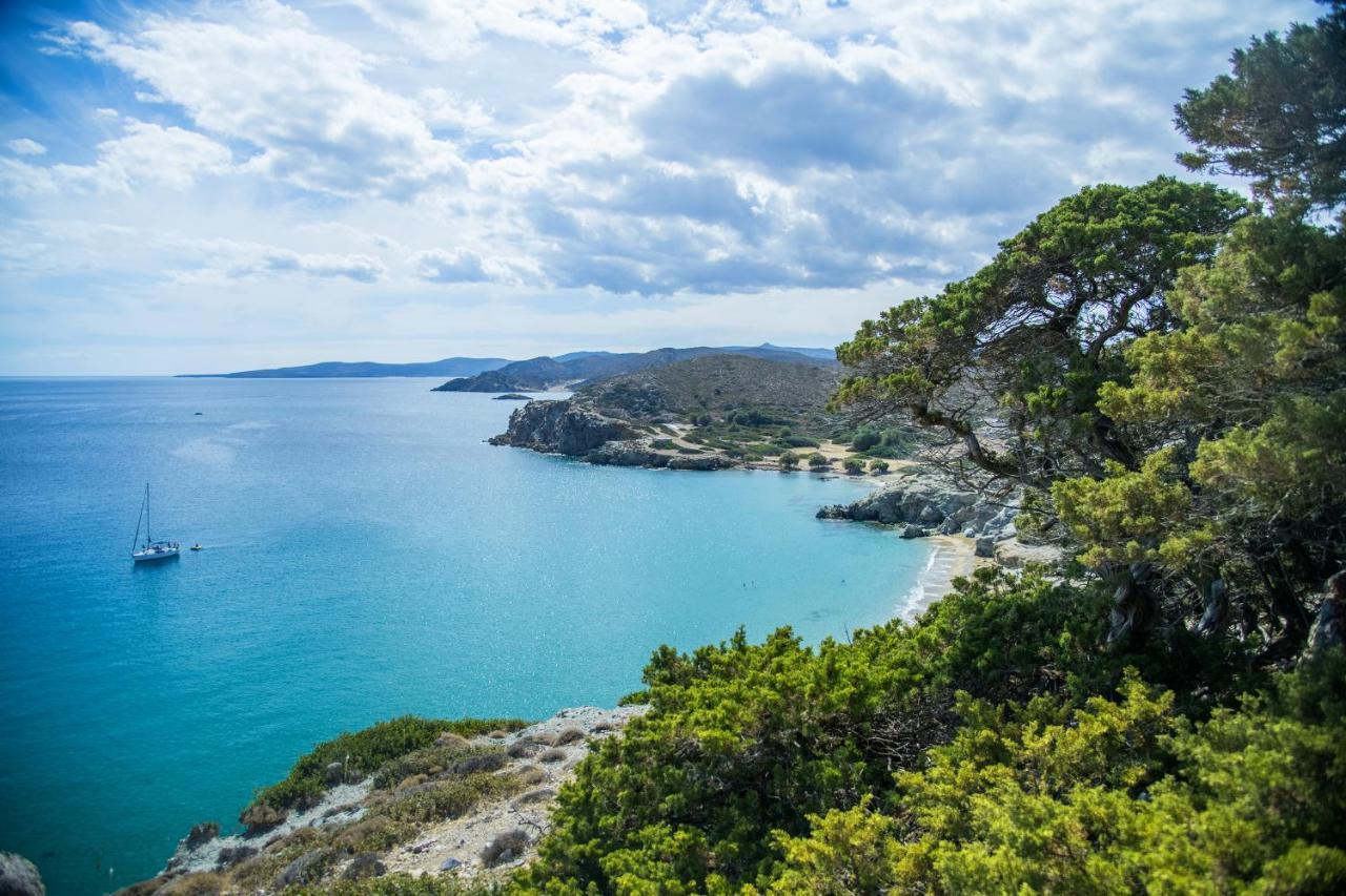 Olive Coast Suites Palekastro Zewnętrze zdjęcie