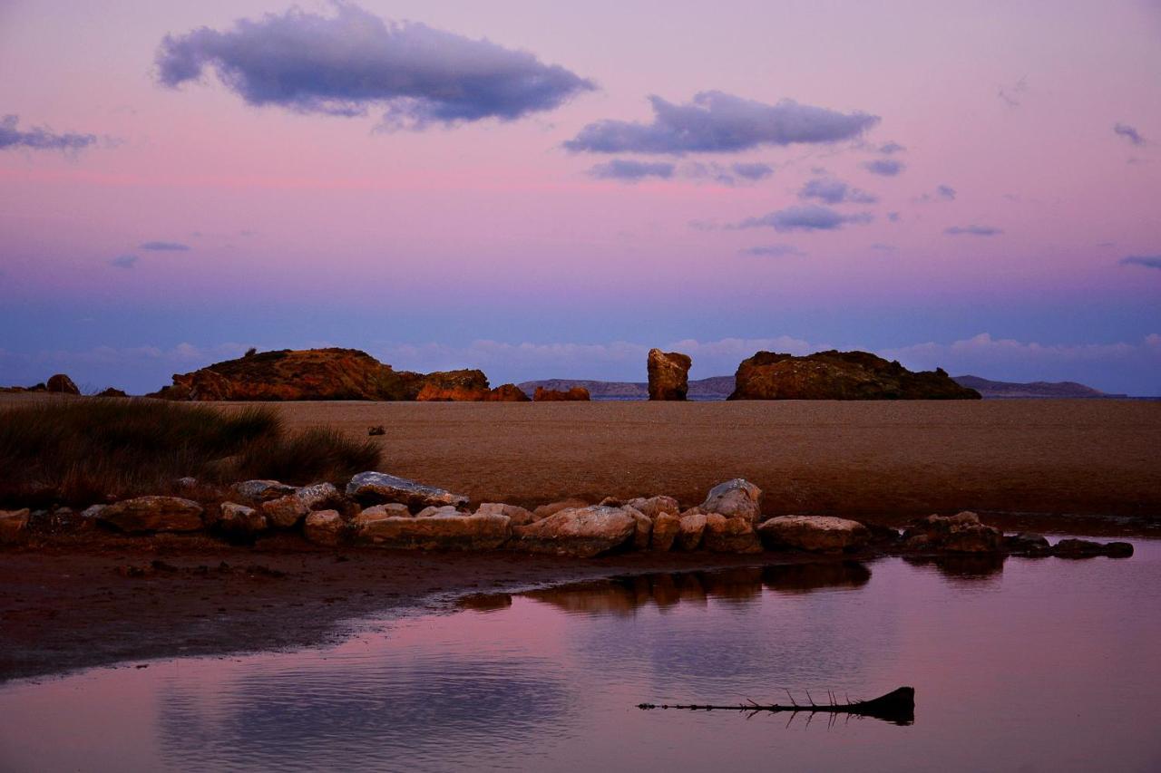 Olive Coast Suites Palekastro Zewnętrze zdjęcie