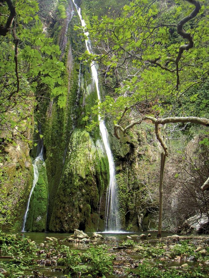 Olive Coast Suites Palekastro Zewnętrze zdjęcie