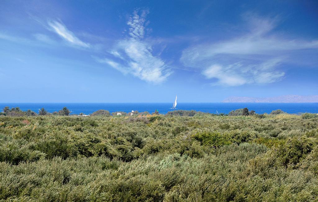 Olive Coast Suites Palekastro Zewnętrze zdjęcie
